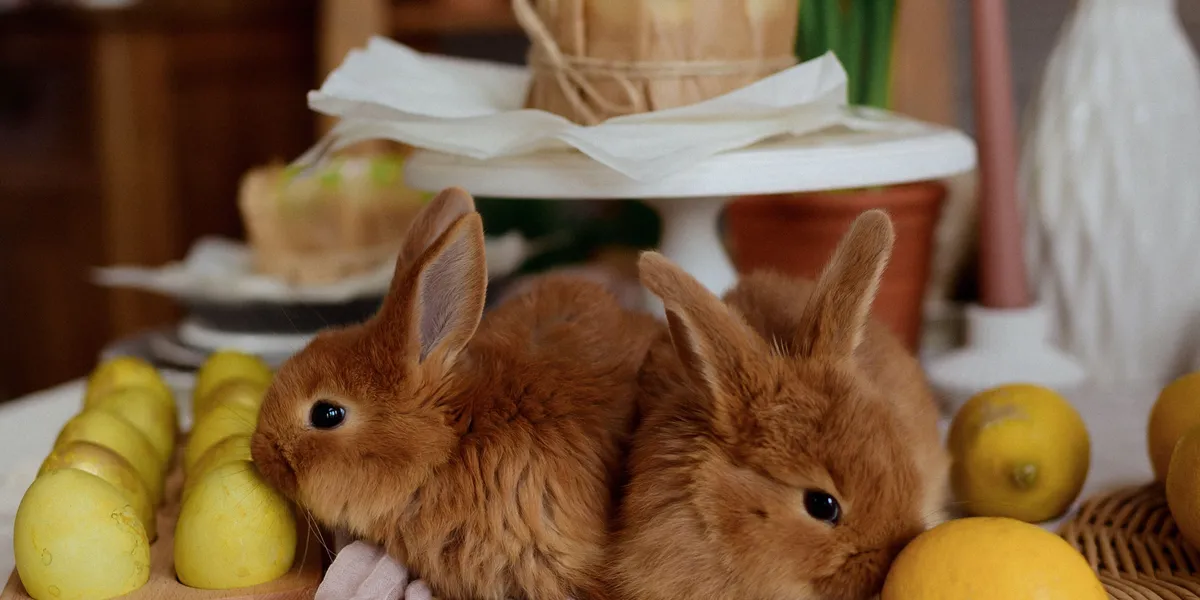 Two young ginger rabbits sitting on a table beside lemons and decorated eggs